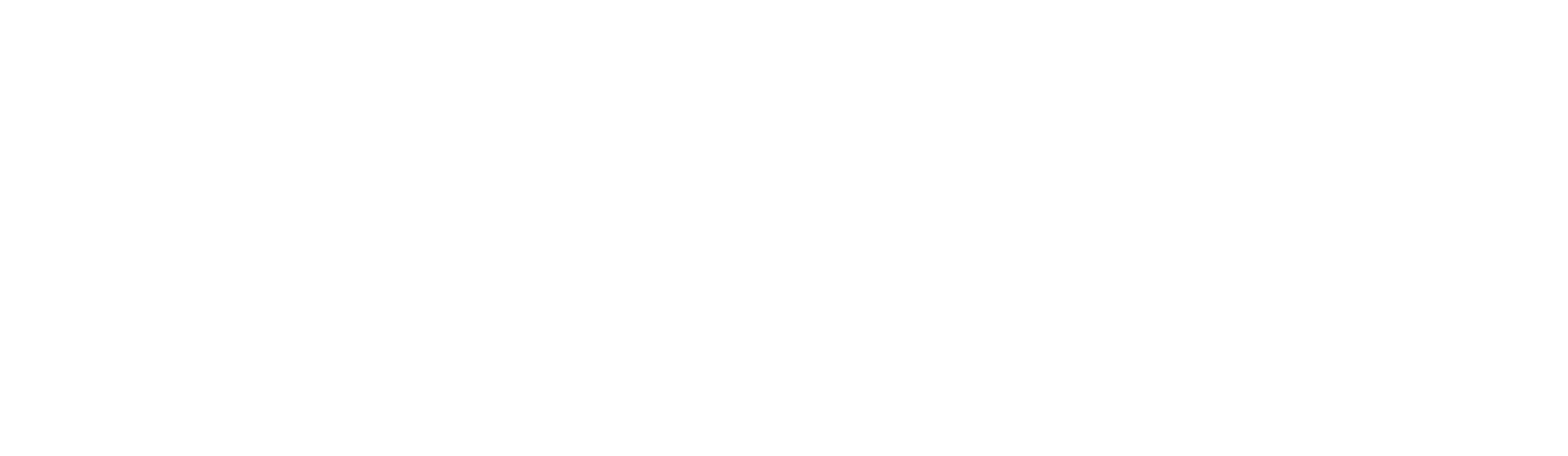 Mandurah Cruises white logo
